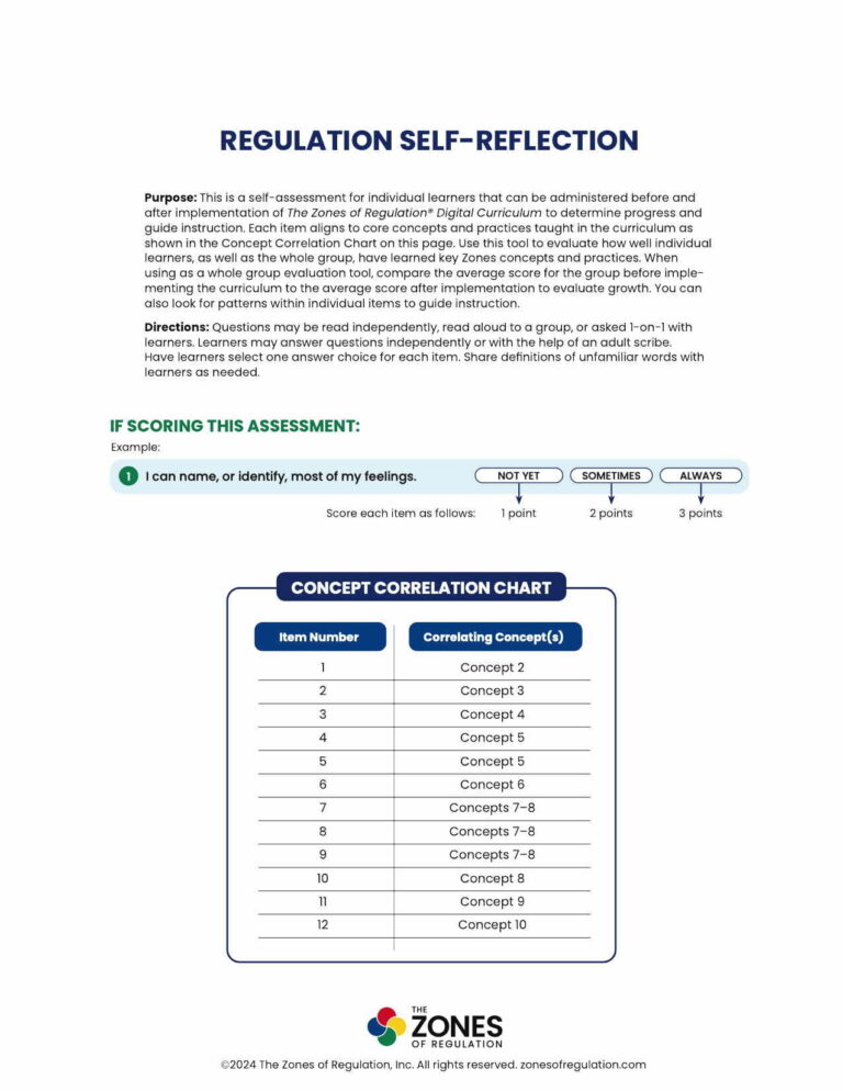 Regulation Self-Reflection
